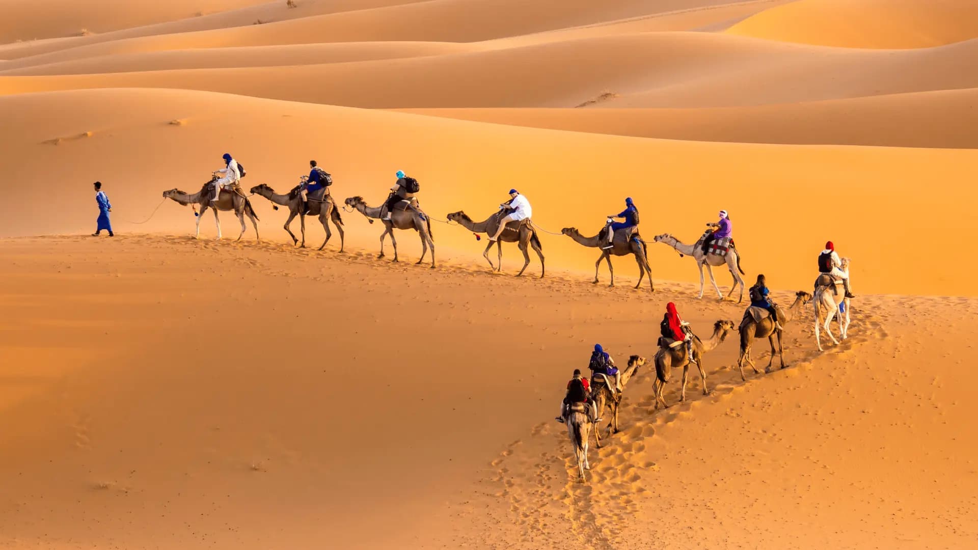 Desert Adventure — Sahara