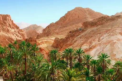 Ksar Ghilane